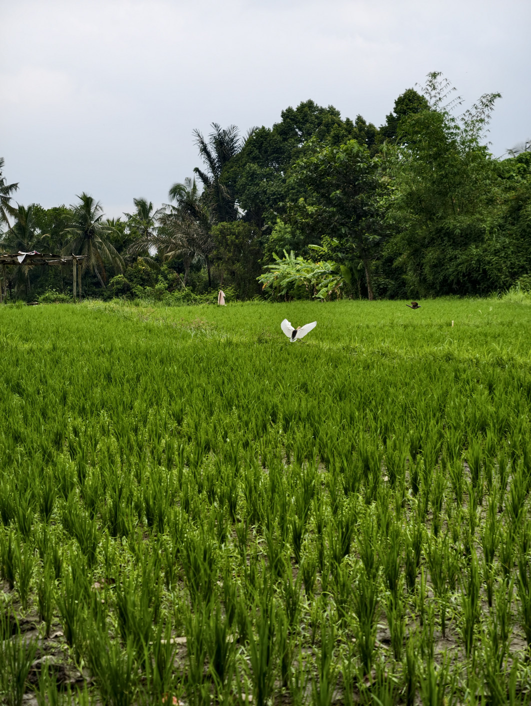 1/360 s, f/2,67, ISO 50, 85 mm