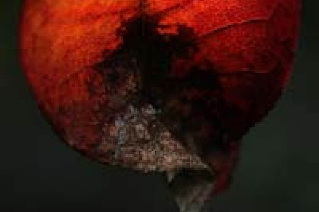 Konkurs "Jesień typowo" - wyniki