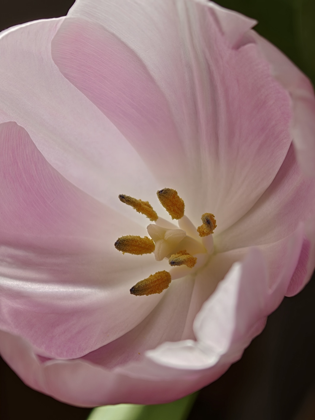 1/103 s, f/2.1, ISO 50, 16.5 mm