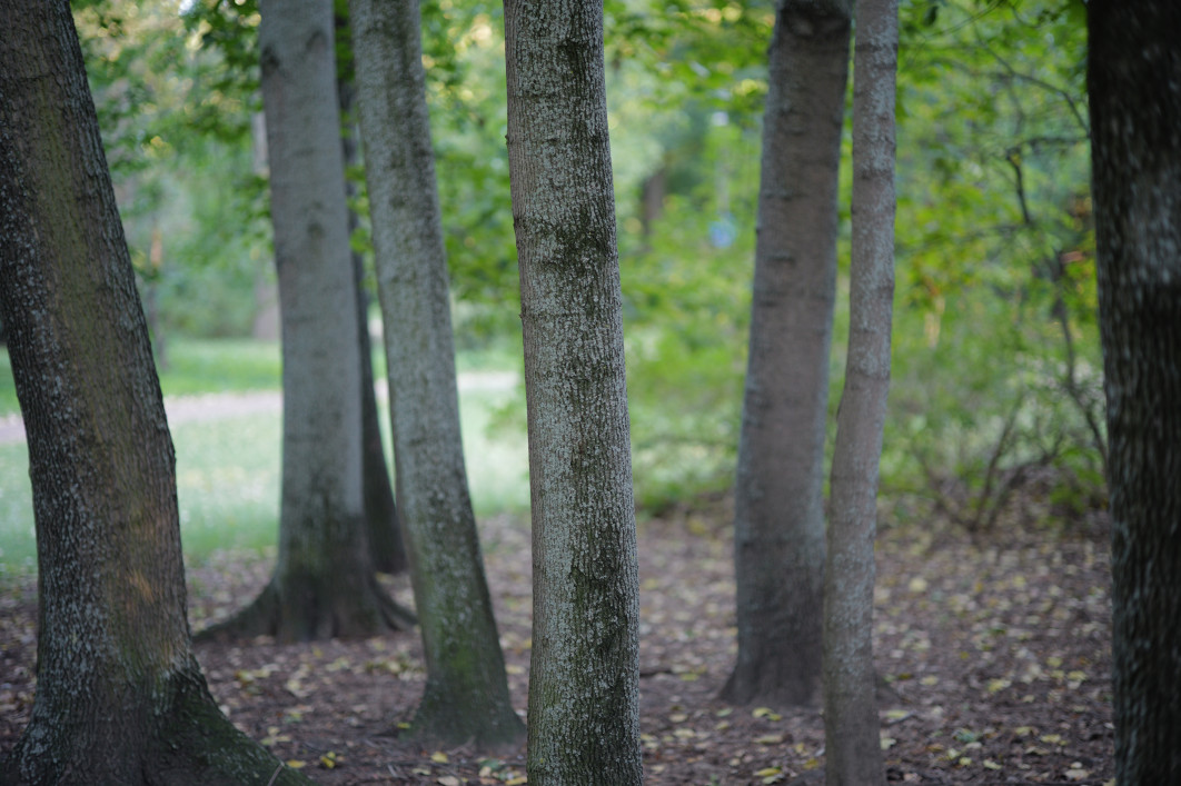 1/125 s, f/1.4, ISO 640, 75 mm