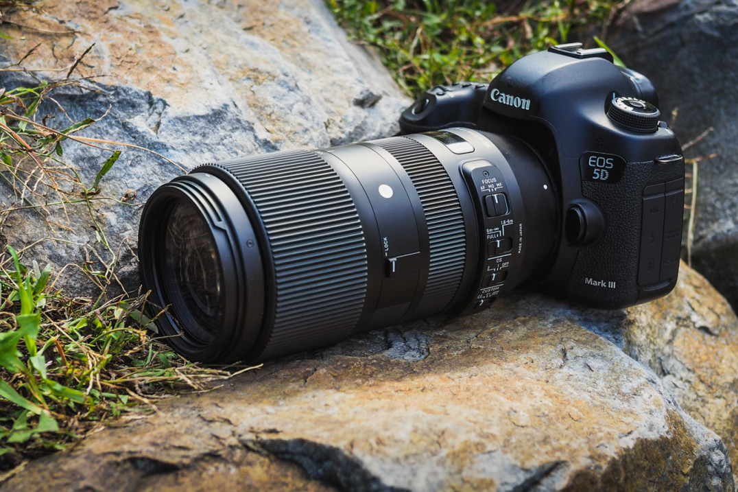 Sigma 100-400 mm f/5-6.3 DG OS HSM Contemporary - zdjęcia przykładowe