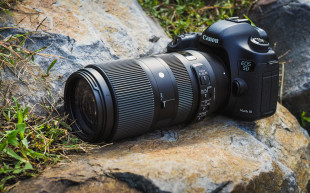 Sigma 100-400 mm f/5-6.3 DG OS HSM Contemporary - zdjęcia przykładowe