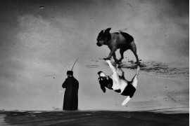 KENAN KAHRAMAN "Small Dog and Big Reflection" - II miejsce w kategorii Street Photography (zdjęcie pojedyncze) 