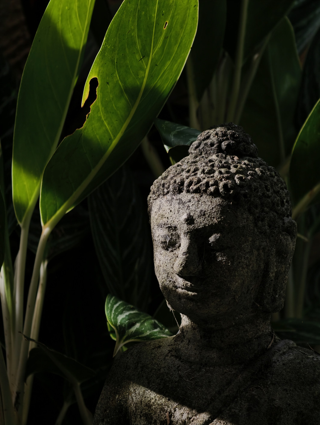 1/112 s, f/16, ISO 50, 85 mm, Macro