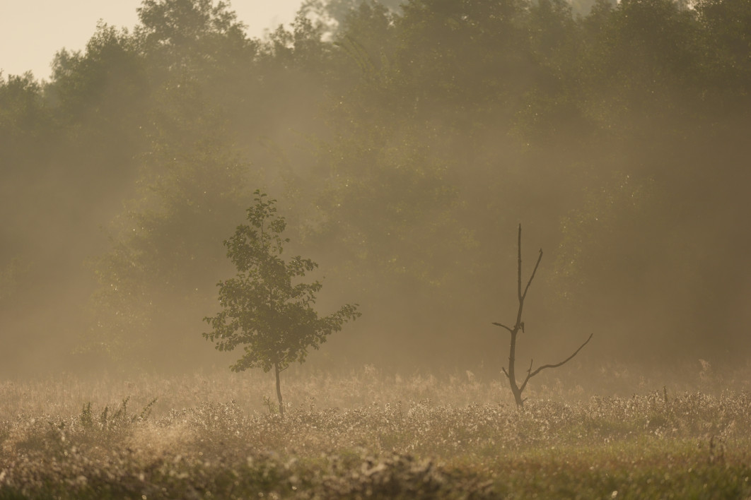 1/3200 s, f/4.5, ISO 200, 400 mm
