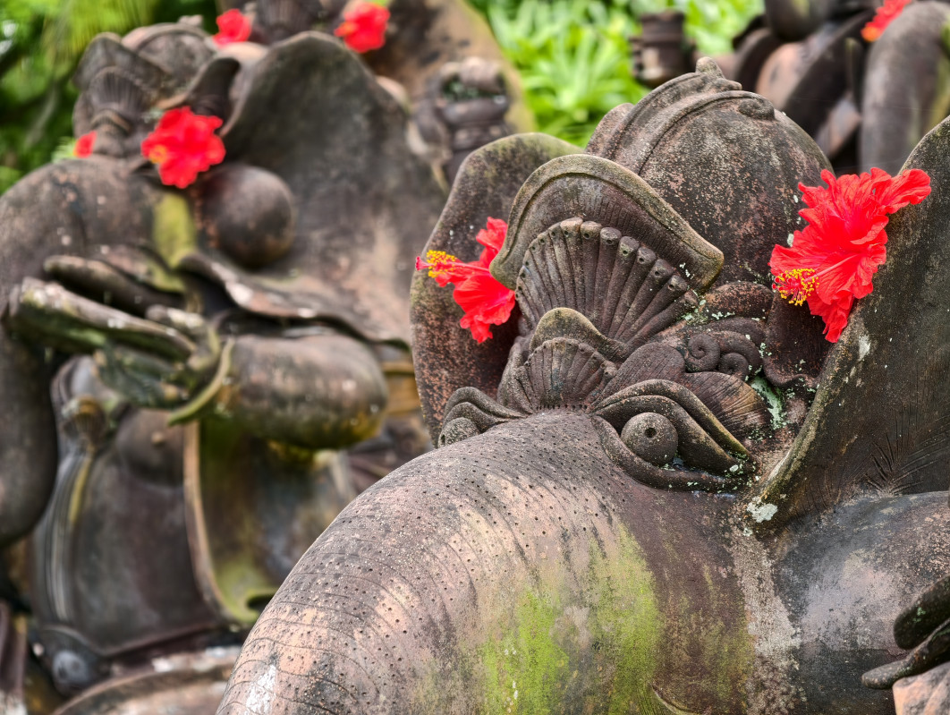 1/100 s, f/2.7, ISO 98, 85 mm