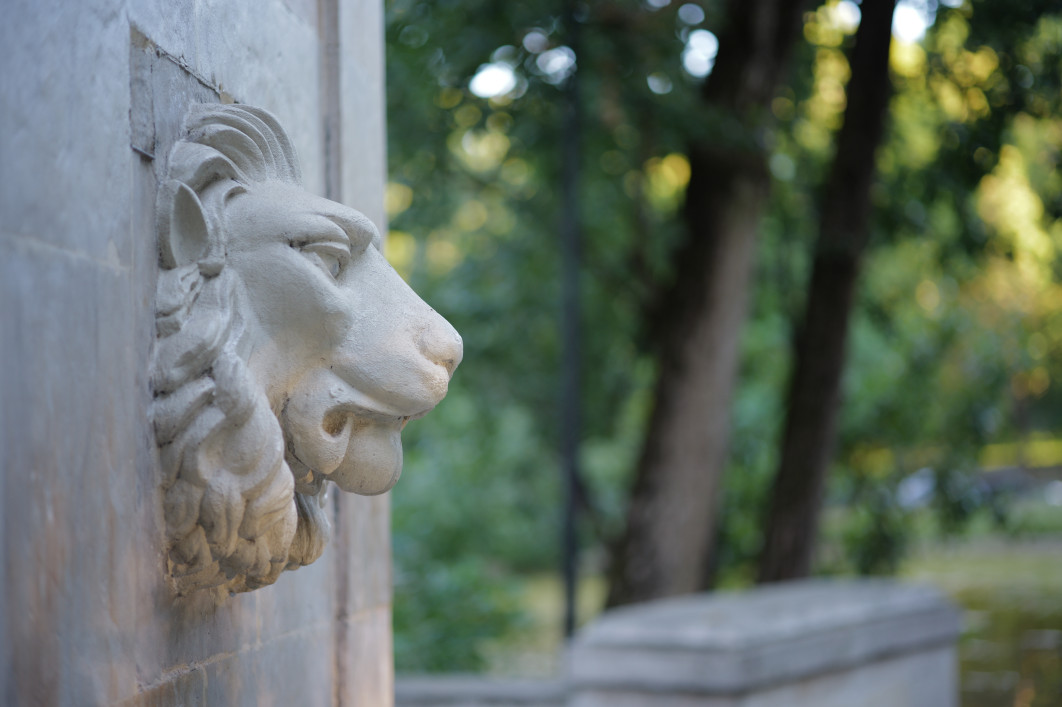 1/125 s, f/1.4, ISO 200, 75 mm