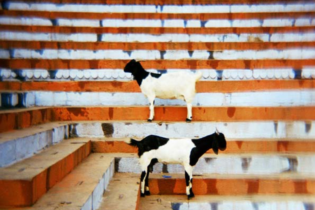 "Indyjskie puzzle" Magdy Rzymanek