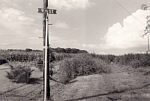 Fotograf niedzielny - Przeszkadza mi to.