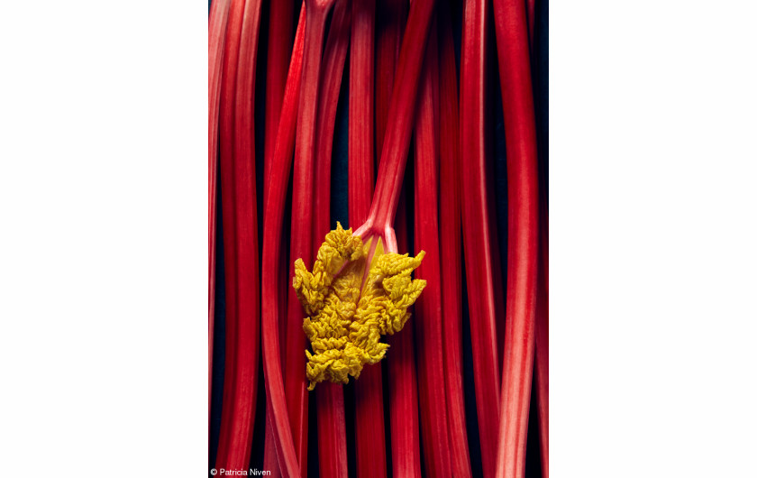 fot. Patricia Niven, Rhubarb, 1. miejsce w kategorii Production Paradise Previously Published