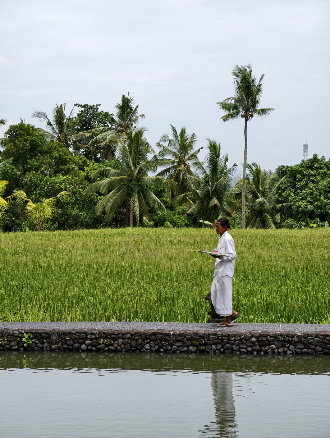 1/1202 s, f/2.7, ISO 50, 85 mm