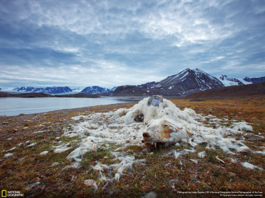 National Geographic Nature Photographer of the Year 2016 - zobaczcie zwycięskie zdjęcia