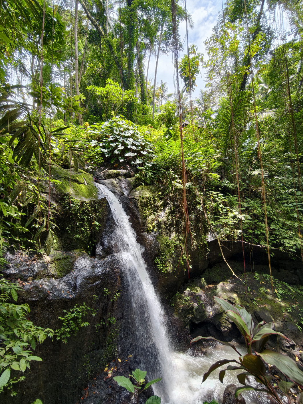 1/100 s, f/2, ISO 187, 15 mm