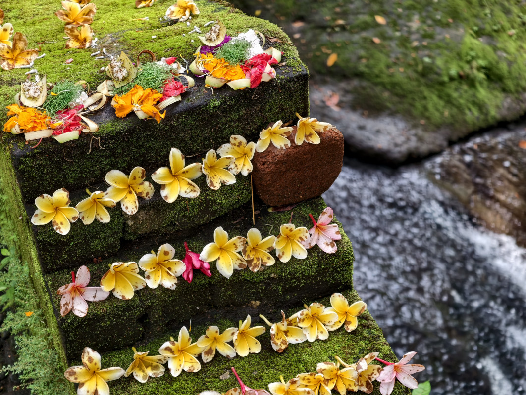 1/400 s, f/2.7, ISO 217, 85 mm