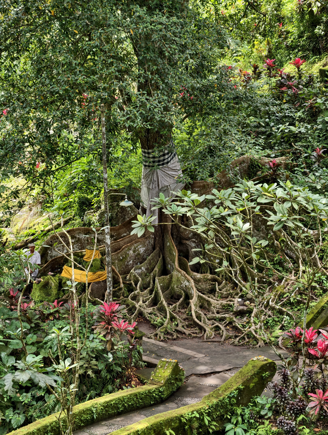 1/100 s, f/2.7, ISO 100, 85 mm