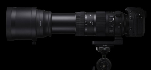 Sigma 150-600 mm f/5-6,3 DG OS HSM