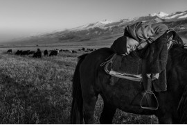 fot. Frederik Buyckx, z cyklu "horse Head"

Koń od zawsze pełnił ważną rolę w na wpół nomadycznym życiu mieszkańców Kirgistanu. Jest niezbędnym przy zaganianiu owiec, a jego mleko i mięso jest ważnym elementem  diety mieszkańców. Jest także sposobem na spędzanie wolnego czasu. Kirgijczycy lubią odpoczywać na ich grzbietach i często grają na nich w różnego rodzaju gry, jak na przykład Kok Boru, gdzie drużyny na koniach walczą między sobą o tuszę owcy.