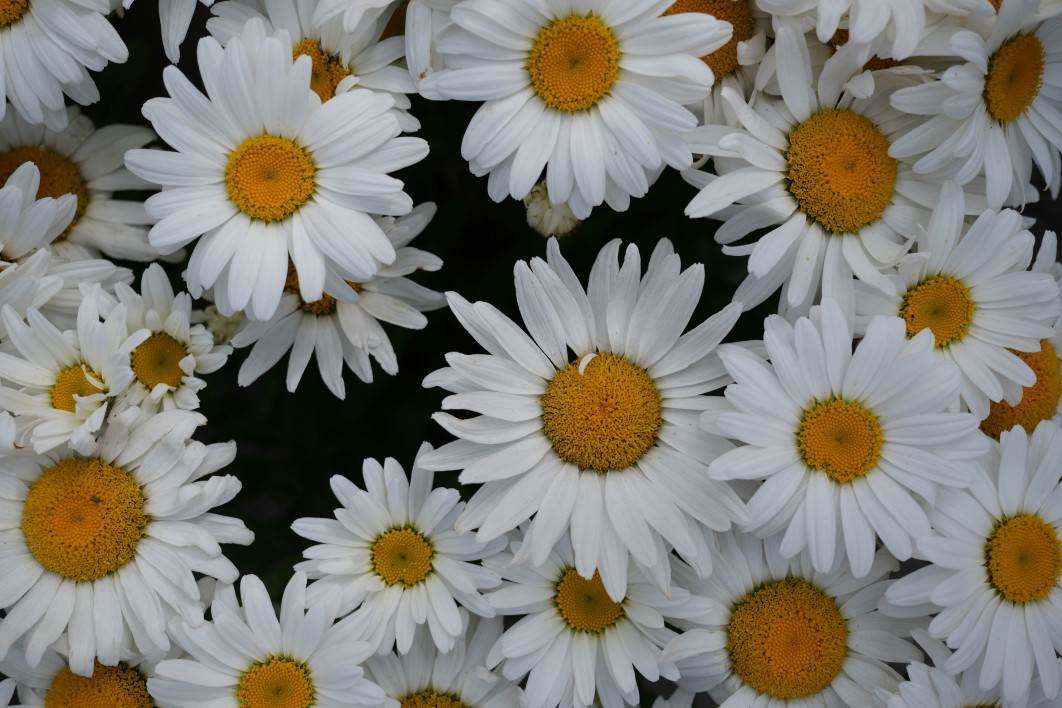 1/1800 s, f/2.8, ISO 125, 23 mm