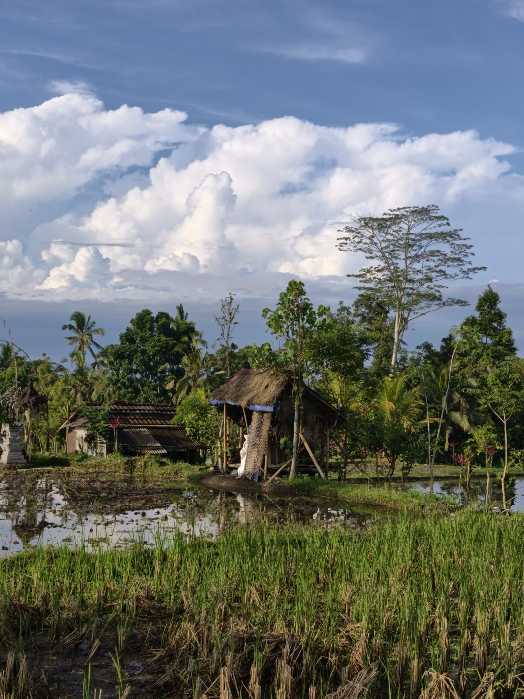 1/6061 s, f/1.6, ISO 72, 50 mm