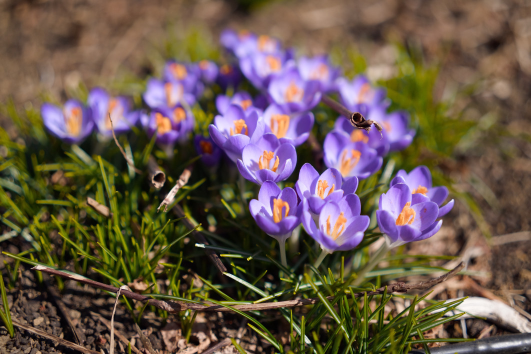 1/16000 s, f/2, ISO 640, 50 mm