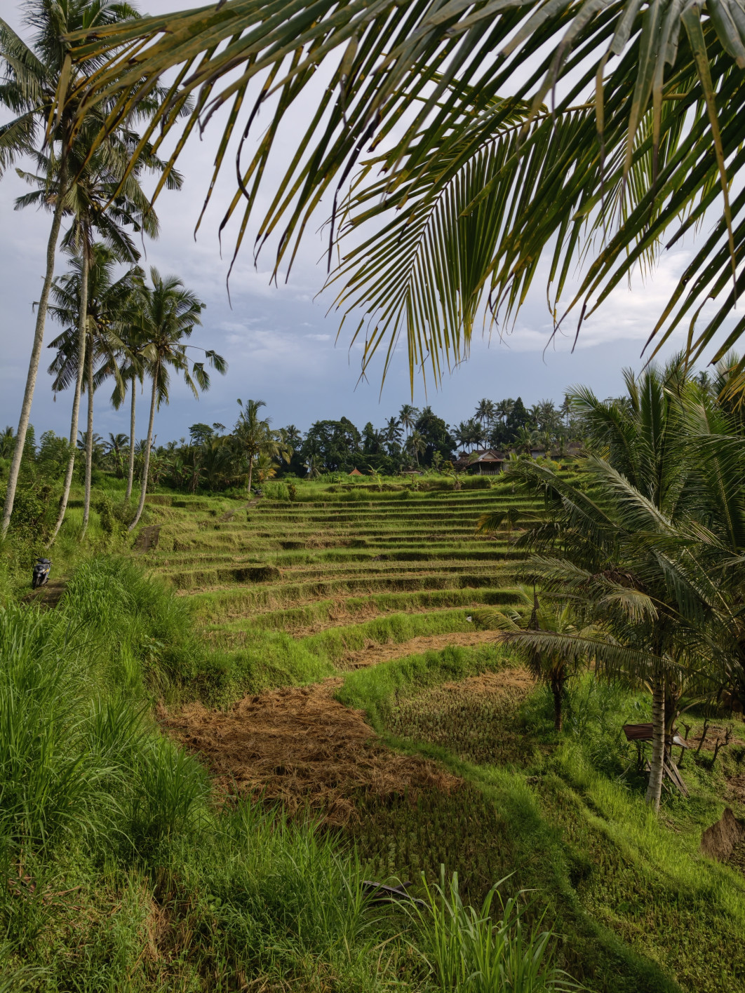 1/5682 s, f/1.6, ISO 83, 50 mm