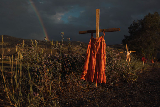 World Press Photo 2022 - po raz pierwszy w historii wygrywa zdjęcie, na którym nie ma ludzi