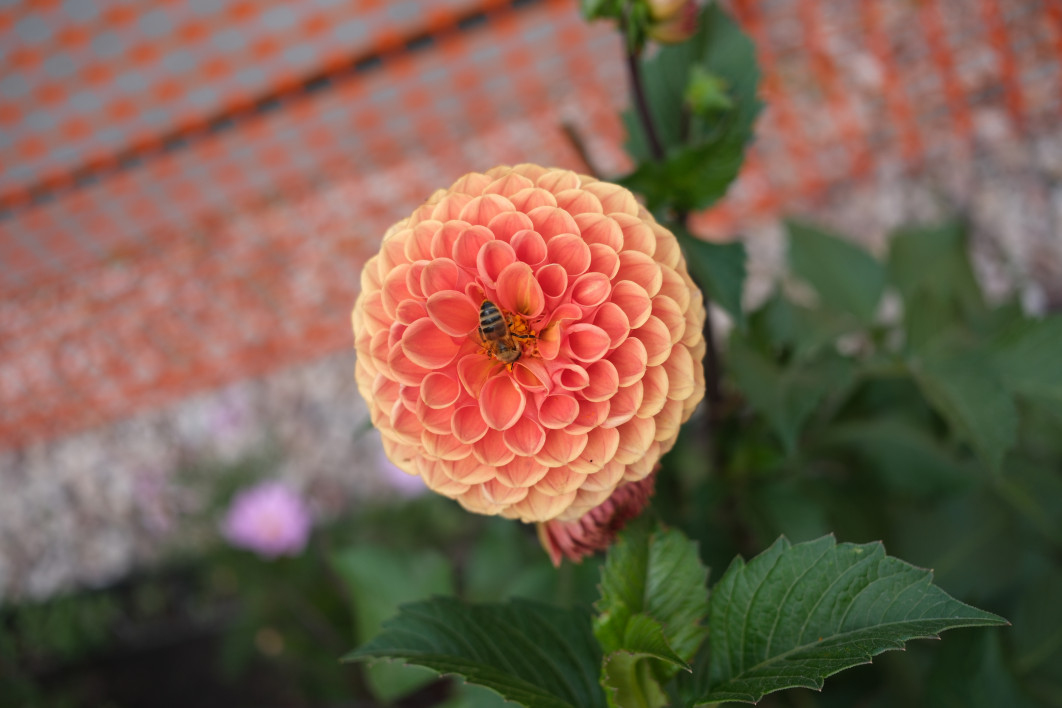 1/350 s, f/2.8, ISO 64, 23 mm
