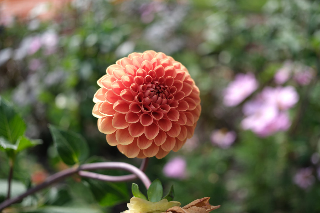 1/300 s, f/2.8, ISO 64, 23 mm