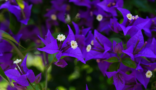 Przykładowe zdjęcia wykonane obiektywem Sigma A 50 mm f/1.4 DG HSM i Sony A7 III / fot. Jarosław Deluga-Góra