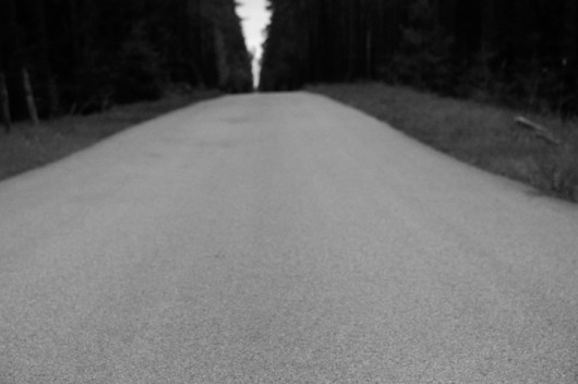 fot. Anna Wolska