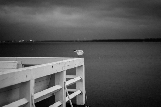 fot. Anna Wolska
