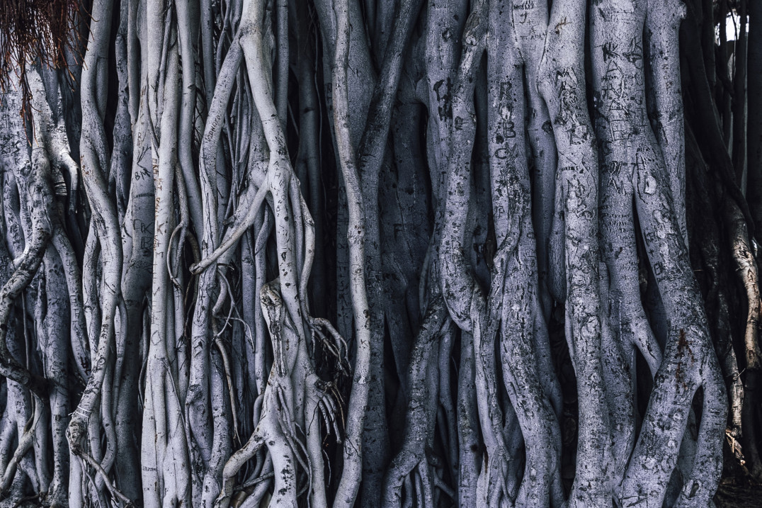 Open Space & Sound - wystawa studentów i absolwentów Łódzkiej Filmówki do obejrzenia w Krakowie