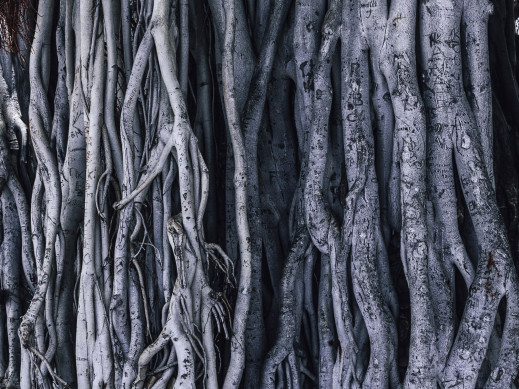 Open Space & Sound - wystawa studentów i absolwentów Łódzkiej Filmówki do obejrzenia w Krakowie