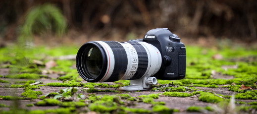 Canon EF 70-200 mm f/2.8L IS III USM - test obiektywu