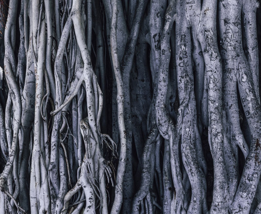 Open Space & Sound - wystawa studentów i absolwentów Łódzkiej Filmówki do obejrzenia w Krakowie