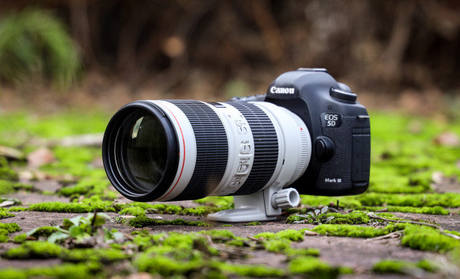 Canon EF 70-200 mm f/2.8L IS III USM - test obiektywu