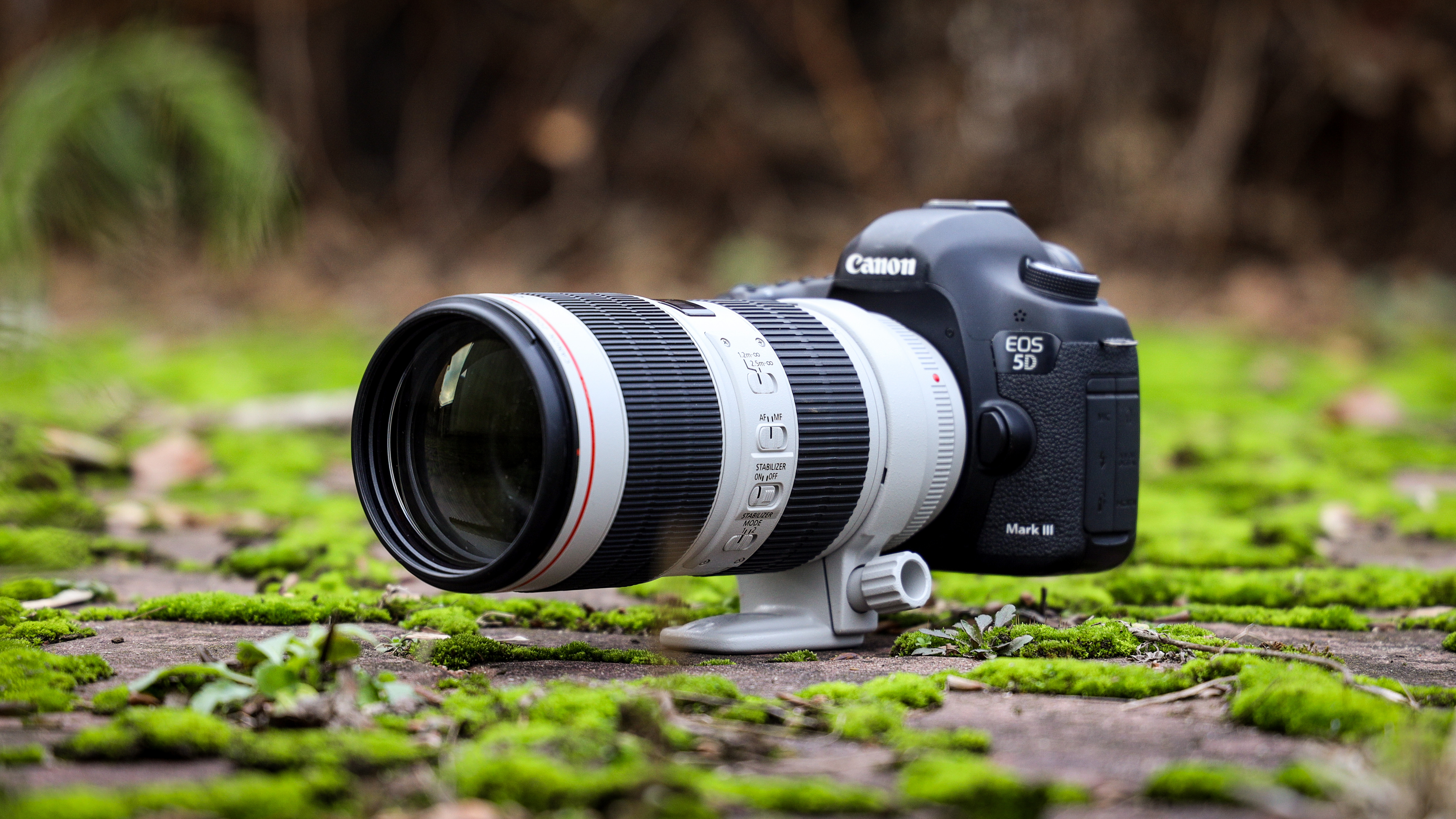 Canon EF 70-200 mm f/2.8L IS III USM - test obiektywu