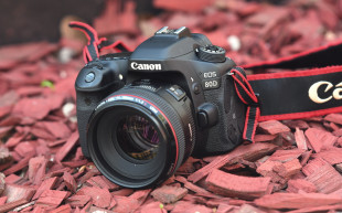 Canon EOS 80D - test aparatu