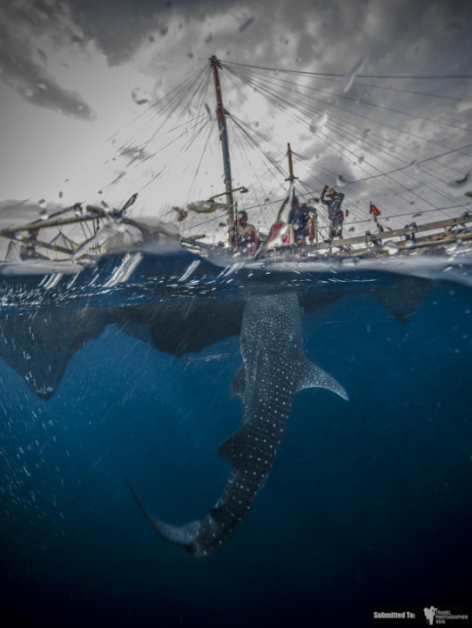 fot. Alex Varani