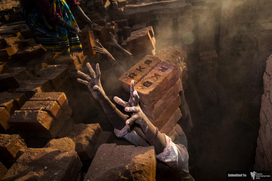 fot. Sanjay Ramani