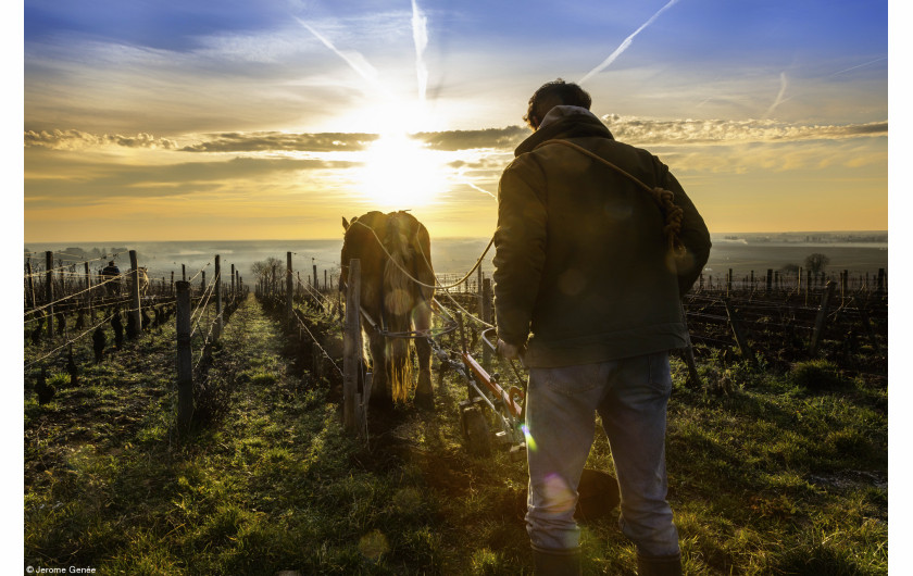 © Jerome Genée, III miejsce w kategorii Errazuriz Wine Photographer of the Year - Places