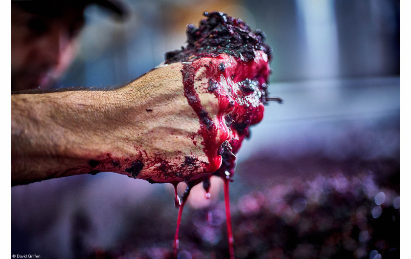 © David Griffen, II miejsce w kategorii Errazuriz Wine Photographer of the Year - Produce