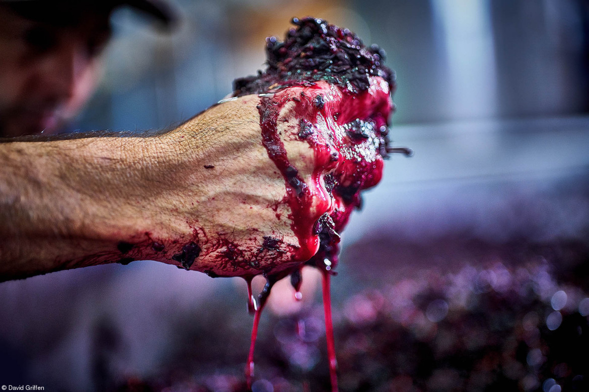 © David Griffen, II miejsce w kategorii "Errazuriz Wine Photographer of the Year - Produce"
