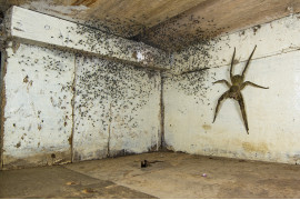 fot. Gil Wizen, "The spider room", nagroda w kat. Urban Wildlife / Wildlife Photographer of the Year 2021<br></br><br></br>Zauważywszy maleńkie pająki w swojej sypialni, Gil zajrzał pod łóżko. Tam znalazł jedneo z najbardziej jadowitych pająków na świecie - wałęsaka brazylijskiego. Zanim bezpiecznie przeniósł go na zewnątrz, sfotografował pająka wielkości ludzkiej dłoni, używając wymuszonej perspektywy, aby wydawał się jeszcze większy.<br></br><br></br>Wałęsaki brazylijskie wędrują nocą na terenach leśnych w poszukiwaniu zdobyczy, takich jak żaby i karaluchy. Ich toksyczny jad może być śmiertelny dla ssaków, w tym ludzi, ale ma również zastosowanie lecznicze.
