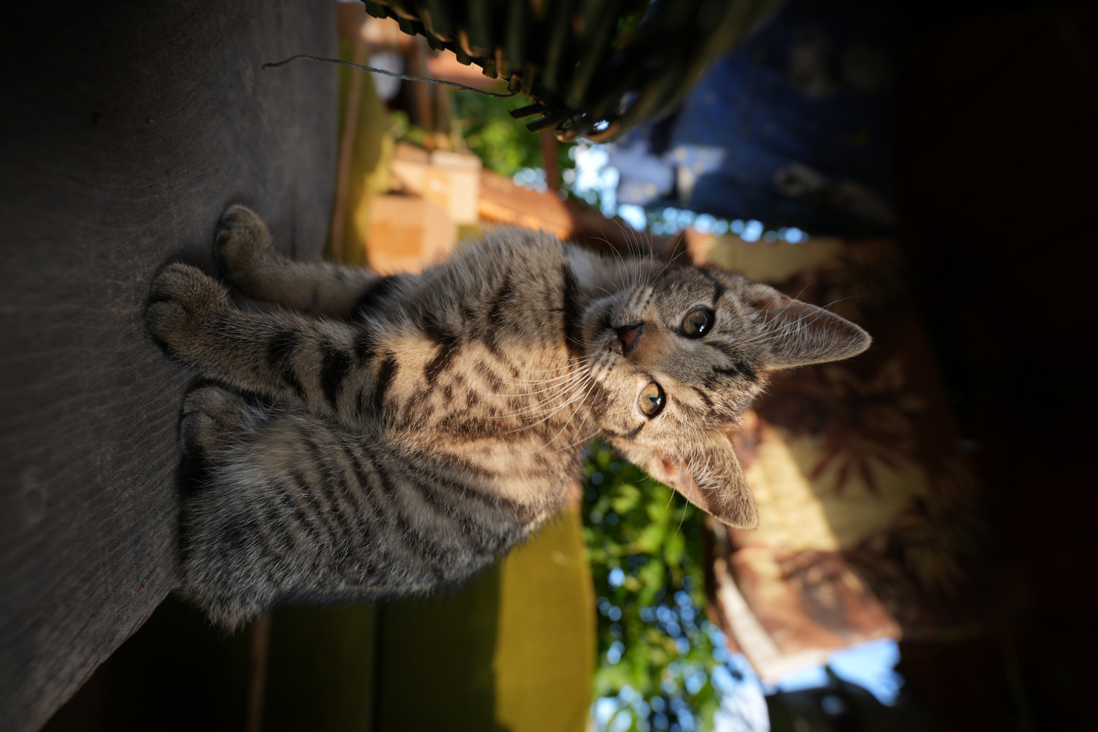  1/125 s, f4/, ISO 125, 16 mm