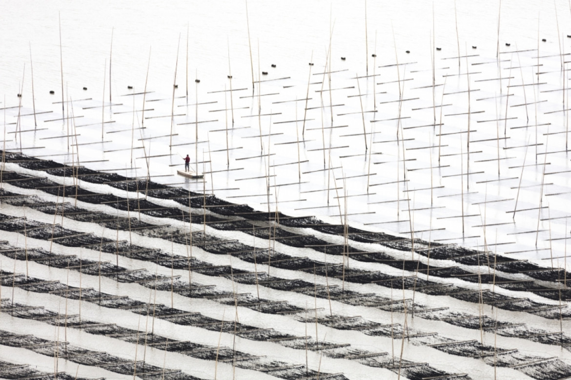fot. Tugo Cheng, "Costal Geometries", główna nagroda w sekcji amatorskiej i tytuł International Discovery of the Year.
Seria abstrakcyjnych pejzaży, do których punkt wyjścia stanowiła akwakultura prowincji Fujian, na południowo-wschodnim wybrzeżu Chin.