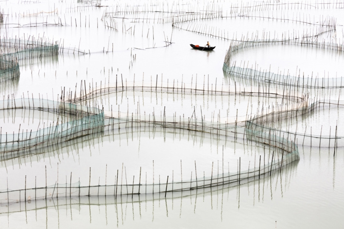 fot. Tugo Cheng, "Costal Geometries", główna nagroda w sekcji amatorskiej i tytuł International Discovery of the Year.
Seria abstrakcyjnych pejzaży, do których punkt wyjścia stanowiła akwakultura prowincji Fujian, na południowo-wschodnim wybrzeżu Chin.