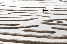 fot. Tugo Cheng, "Costal Geometries", główna nagroda w sekcji amatorskiej i tytuł International Discovery of the Year.

Seria abstrakcyjnych pejzaży, do których punkt wyjścia stanowiła akwakultura prowincji Fujian, na południowo-wschodnim wybrzeżu Chin.