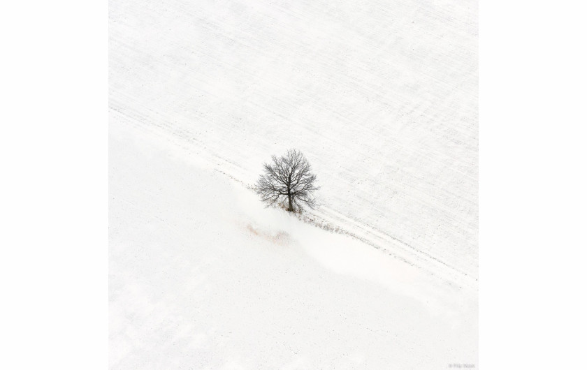 fot. Filip Wolak Lone Tree