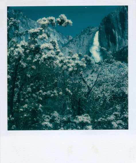 Austriackie muzeum ocala część Kolekcji Polaroida